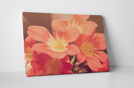 Tablouri Canvas - Tablou canvas : Floricele