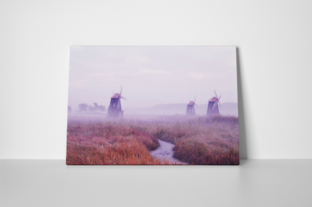 Tablou canvas : Morile de vant [1]