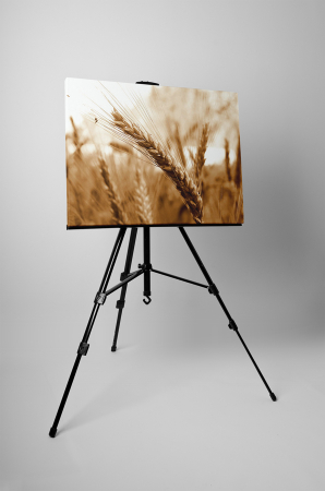 Tablou canvas : Grau [2]