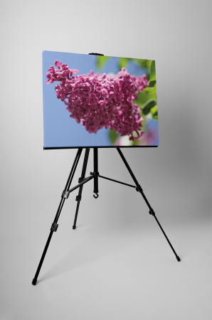 Tablou canvas : Liliacul mov [2]