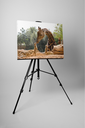 Tablou canvas : Gradina zoologica [2]