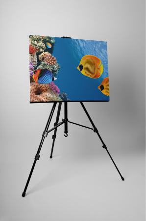 Tablou canvas : Lumea marina [2]