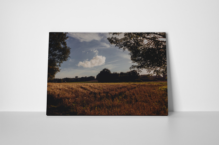 Tablou canvas : Pe camp [1]