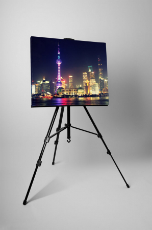 Tablou canvas : Pudong skyline [2]