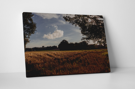 Peisaje - Tablou canvas : Pe camp