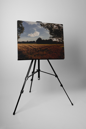 Tablou canvas : Pe camp [2]