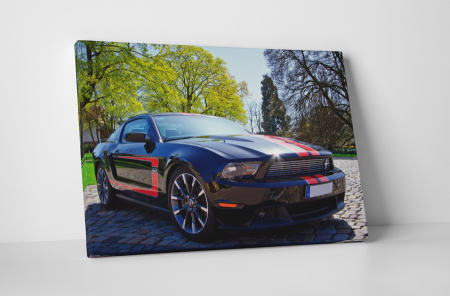 Vehicule - Tablou canvas : Mustang