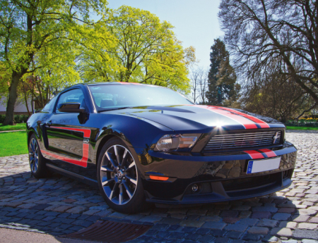 Tablou canvas : Mustang [3]