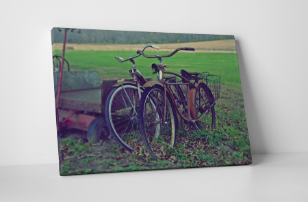 Vehicule - Tablou canvas : Biciclete vechi