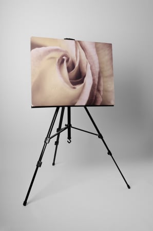 Tablou canvas : Trandafirul elegant [2]