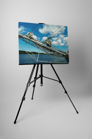 Tablou canvas : Libertate pe apa [2]