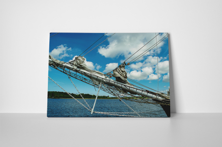 Tablou canvas : Libertate pe apa [1]