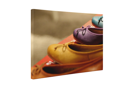 Tablou canvas : Balerini [4]