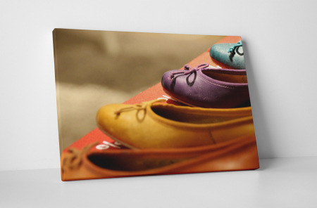 Tablouri Canvas - Tablou canvas : Balerini