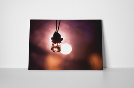 Tablou canvas : Lumina in noapte [1]