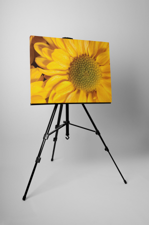 Tablou canvas : Rasarita galbena [2]