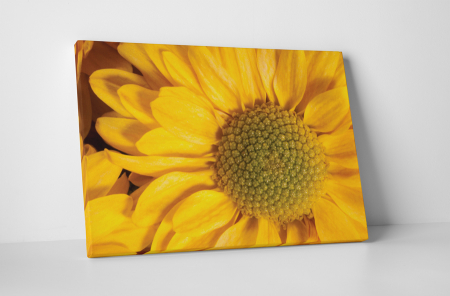 Tablouri Canvas - Tablou canvas : Rasarita galbena