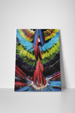Tablou canvas : Pene decorative [1]