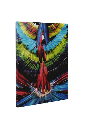 Tablou canvas : Pene decorative [4]