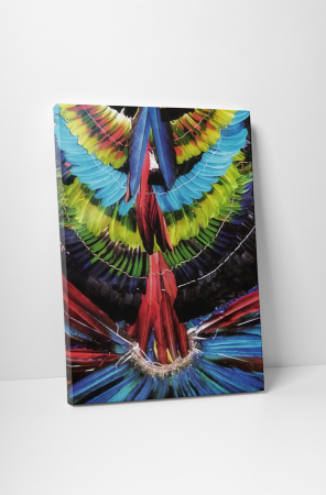 Tablouri Canvas - Tablou canvas : Pene decorative