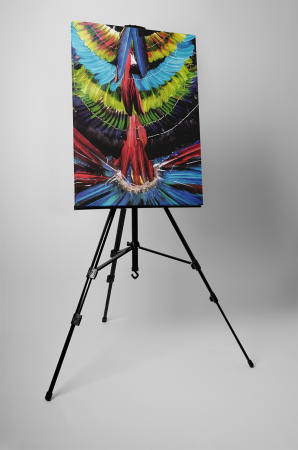 Tablou canvas : Pene decorative [2]