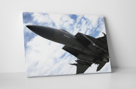 Vehicule - Tablou canvas : Avion de vanatoare