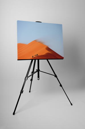 Tablou canvas : In mijlocul desertului [2]