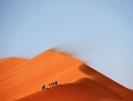 Tablou canvas : In mijlocul desertului [3]