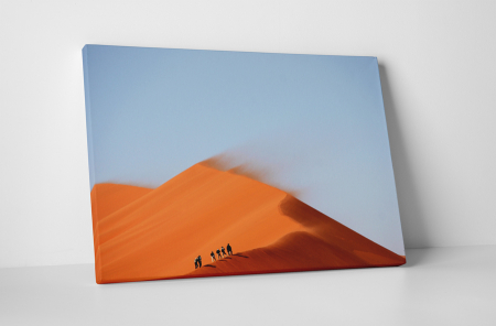 Peisaje - Tablou canvas : In mijlocul desertului