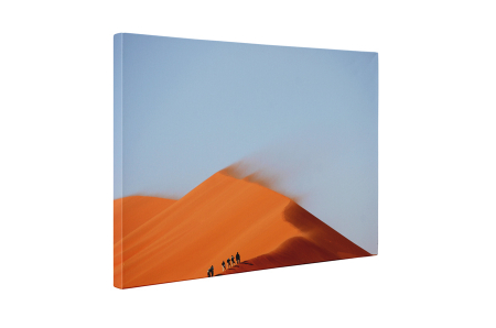 Tablou canvas : In mijlocul desertului [4]