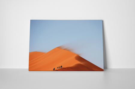 Tablou canvas : In mijlocul desertului [1]