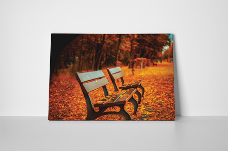 Tablou canvas : Frunze colorate [1]