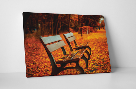 Natură - Tablou canvas : Frunze colorate