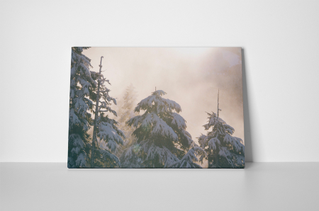 Tablou canvas : Zapada peste brazi [1]