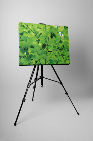 Tablou canvas : Frunze peste tot [2]
