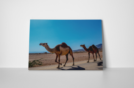 Tablou canvas : Camile la plimbare [1]
