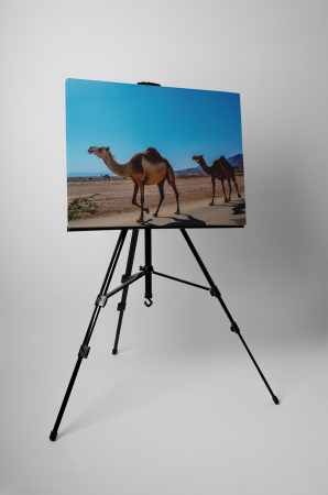 Tablou canvas : Camile la plimbare [2]
