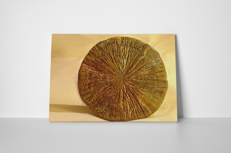 Tablou canvas : Sulfura de fier - pirita [1]