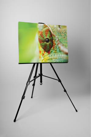 Tablou canvas : Ochii cameleonului [2]