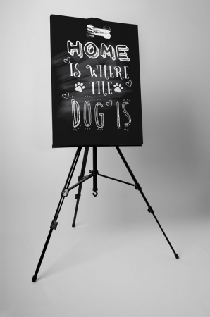 Tablou canvas : Home and dog [3]