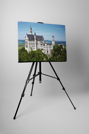 Tablou canvas : Castelul Neuschwanstein [2]