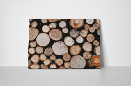 Tablou canvas : Gramada de lemne [1]