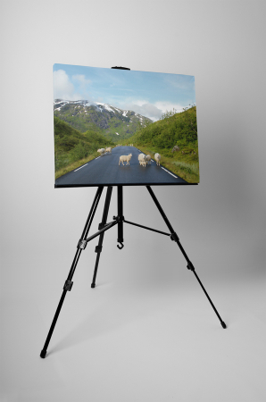 Tablou canvas : Oi pe drum [2]