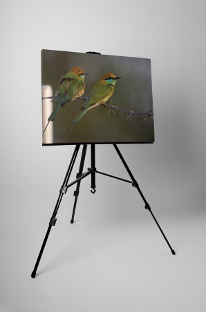 Tablou canvas : Prigorii [2]