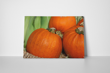 Tablou canvas : Dovleac [1]