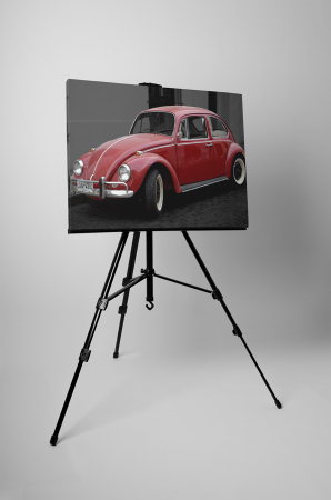 Tablou canvas : Beetle rosu [2]