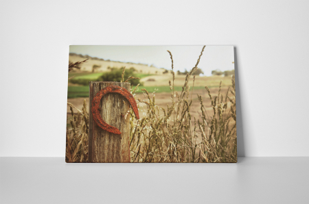 Tablou canvas : Potcoava ruginita [1]