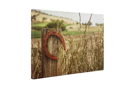 Tablou canvas : Potcoava ruginita [4]