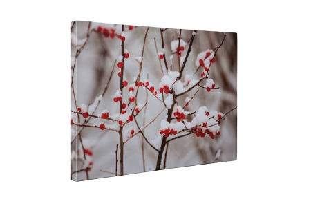 Tablou canvas : Boabe de macese [4]