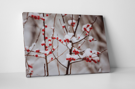 Natură - Tablou canvas : Boabe de macese